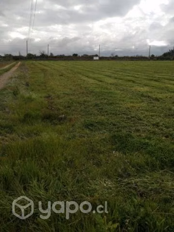 Parcela agrícolas o de agrado