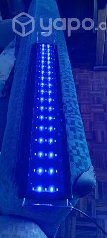 Luz triple led