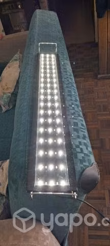 Luz triple led