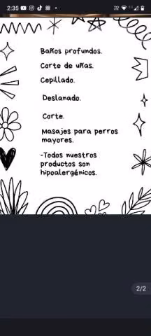 Peluquería canina