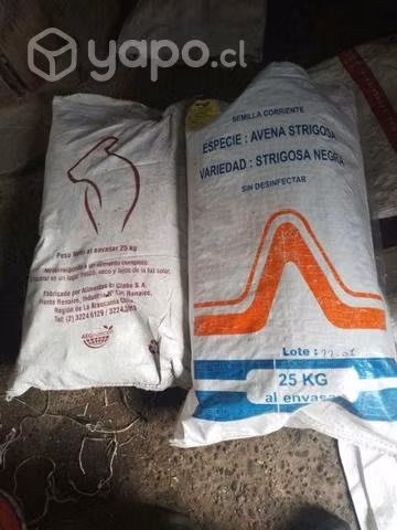 Sacos vacios como nuevos