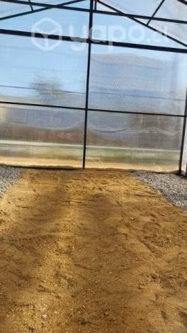 Invernadero en policarbonato