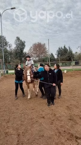 Yegua caballo