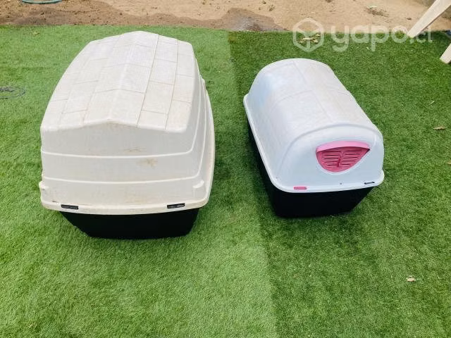 Casas para perro