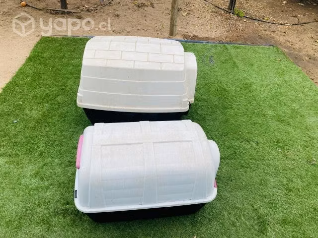 Casas para perro