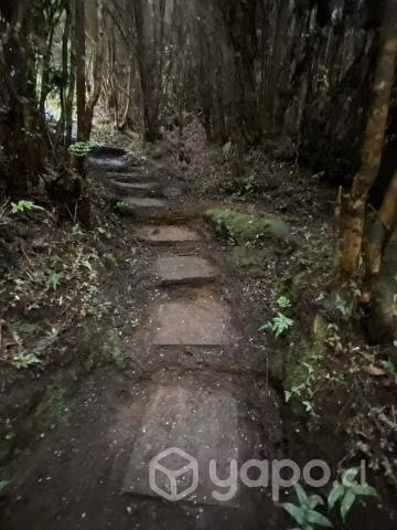 Se vende terreno en carretera austral
