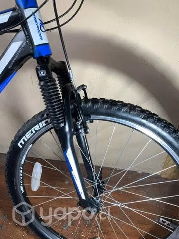Merida Matts - Imagen 5