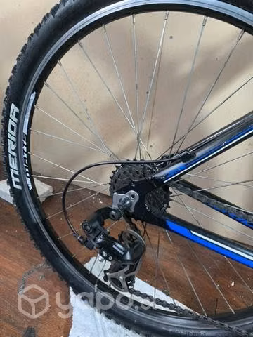 Merida Matts - Imagen 3