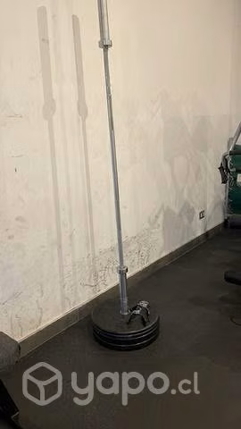 Barra olímpica 20 kilos y par 10 y 25 libras rogue