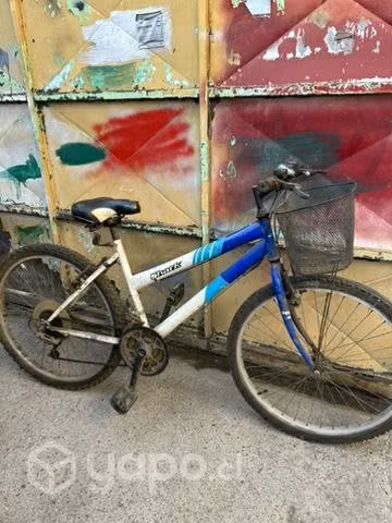Bicicletas