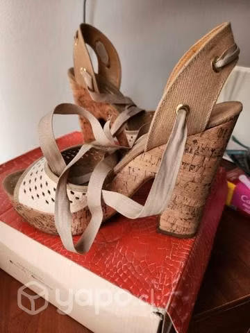 Chalitas nunero 39