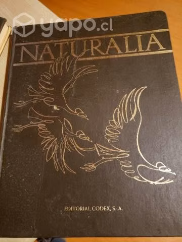 Libros de Enciclopedia