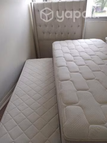 Cama divan cic