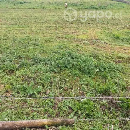 Parcela agroresidencial