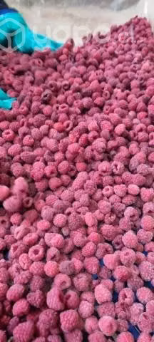 Frambuesa congelada