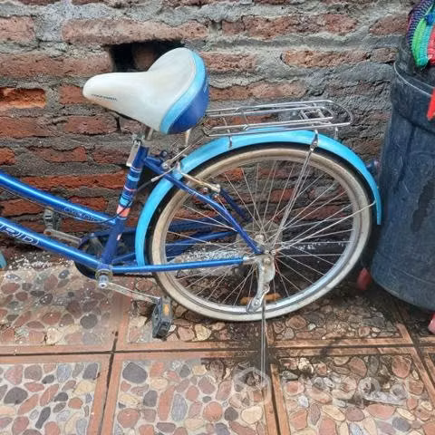 Bicicleta