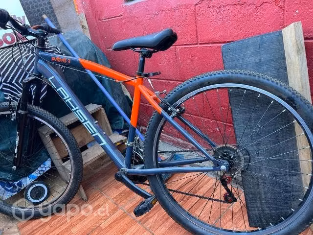Bicicleta Lahsen y Transportador bianchi