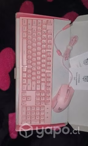 Para las regalonas de la casa - Imagen 3
