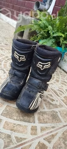Botas moto infantil Fox comp 5