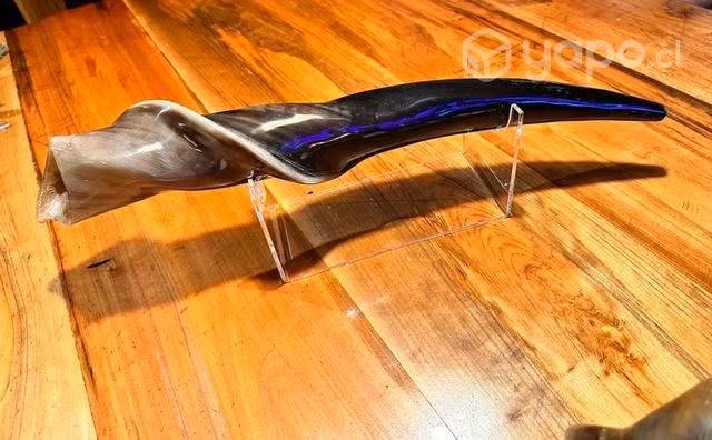 Shofar Eland 60 cm muy pocos en Chile