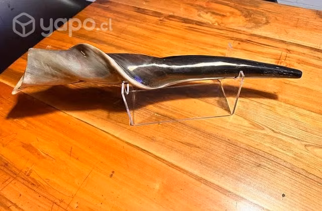 Shofar Eland 60 cm muy pocos en Chile
