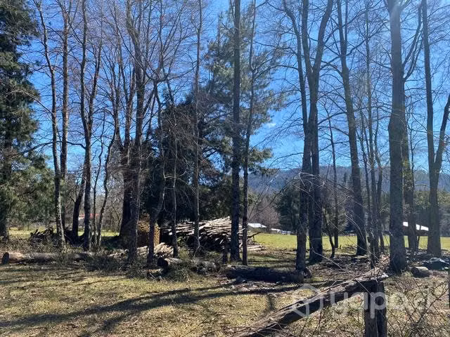 terreno 5000 m2 sector Piñiquihue
