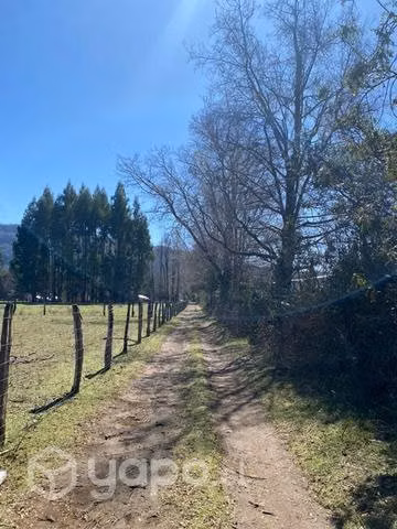 terreno 5000 m2 sector Piñiquihue