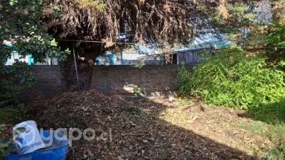 Venta ardios limpieza patios