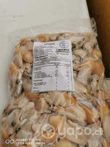 Venta por mayor navajuela normal y limpia
