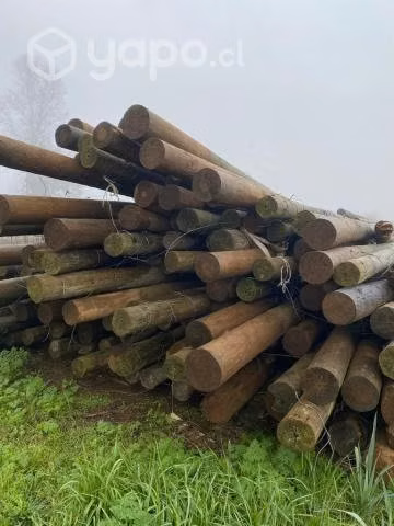 Polines de 6'' a 7'' x 6m certificados impregnados