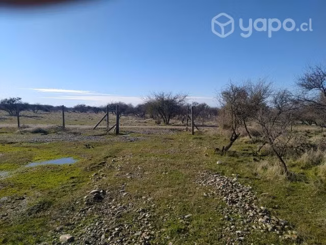 Vendo parcela 5000 m en maule comuna de cauquenes