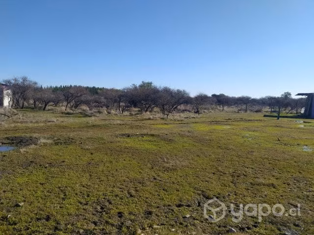 Vendo parcela 5000 m en maule comuna de cauquenes