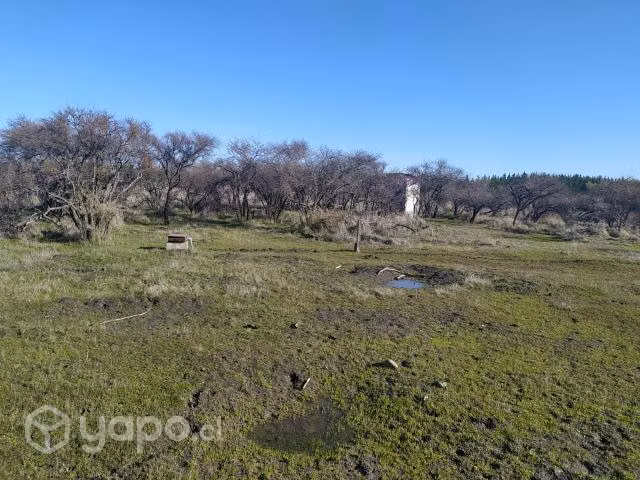 Vendo parcela 5000 m en maule comuna de cauquenes
