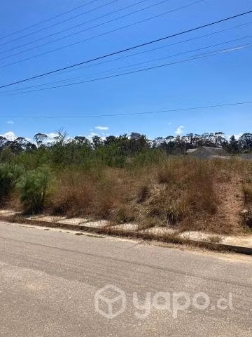 Terreno en Algarrobo