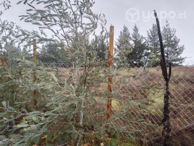 hermosa parcela 5000m² con luz dentro el