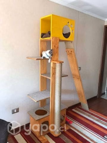 Rascadores gato