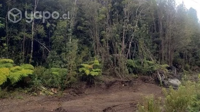 Parcela en condómino de 5000 mts2