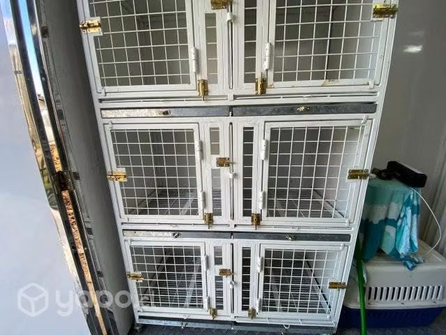 Clinica veterinaria movól