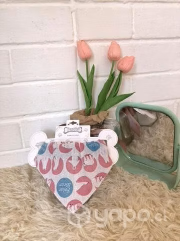 Collares para perros y gatos