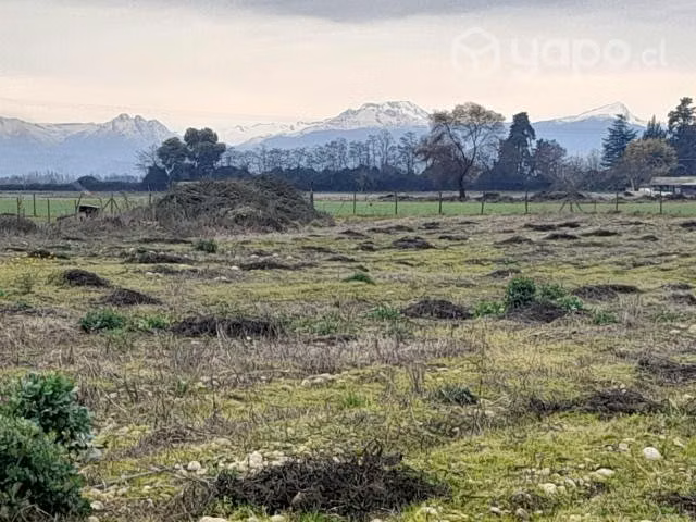 Parcelas de 5.000 m2