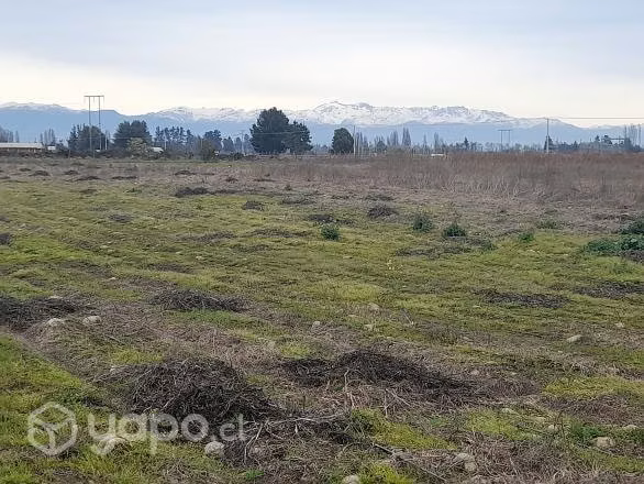 Parcelas de 5.000 m2