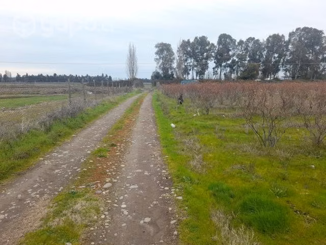 Parcelas de 5.000 m2
