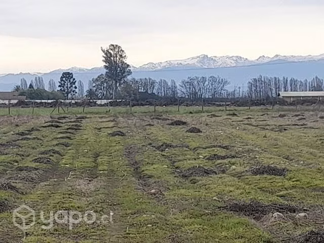 Parcelas de 5.000 m2