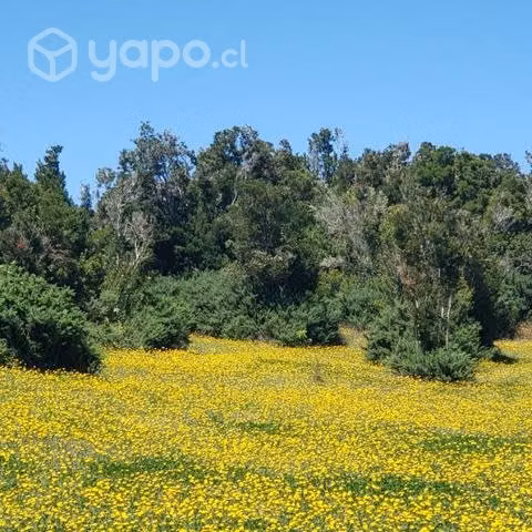 Se vende increíble parcela con vista al mar