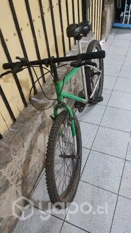 Bicicletaws con detalles - Imagen 2