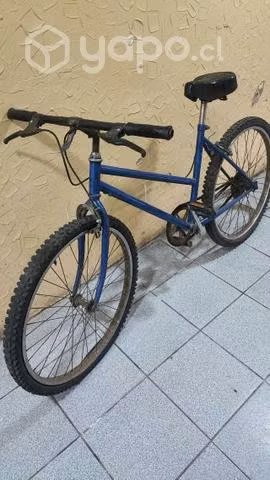 Bicicletaws con detalles - Imagen 4