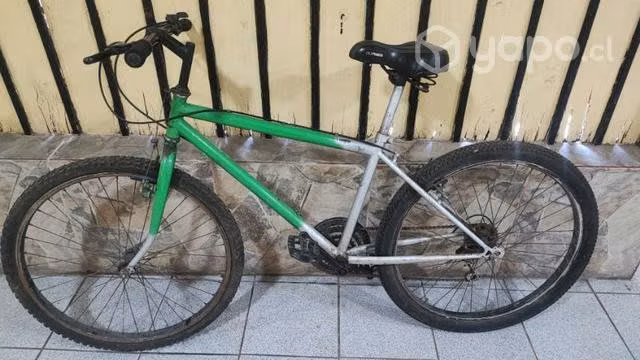 Bicicletaws con detalles