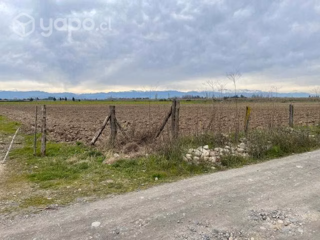 Parcela - Imagen 2