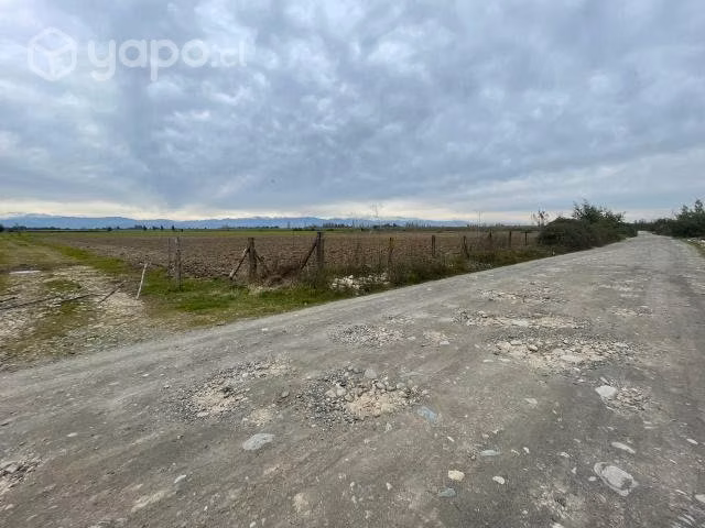 Parcela - Imagen 7