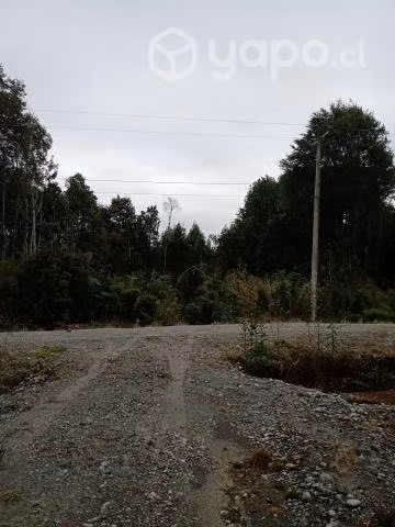 Parcela campos de neoalerce - Imagen 3